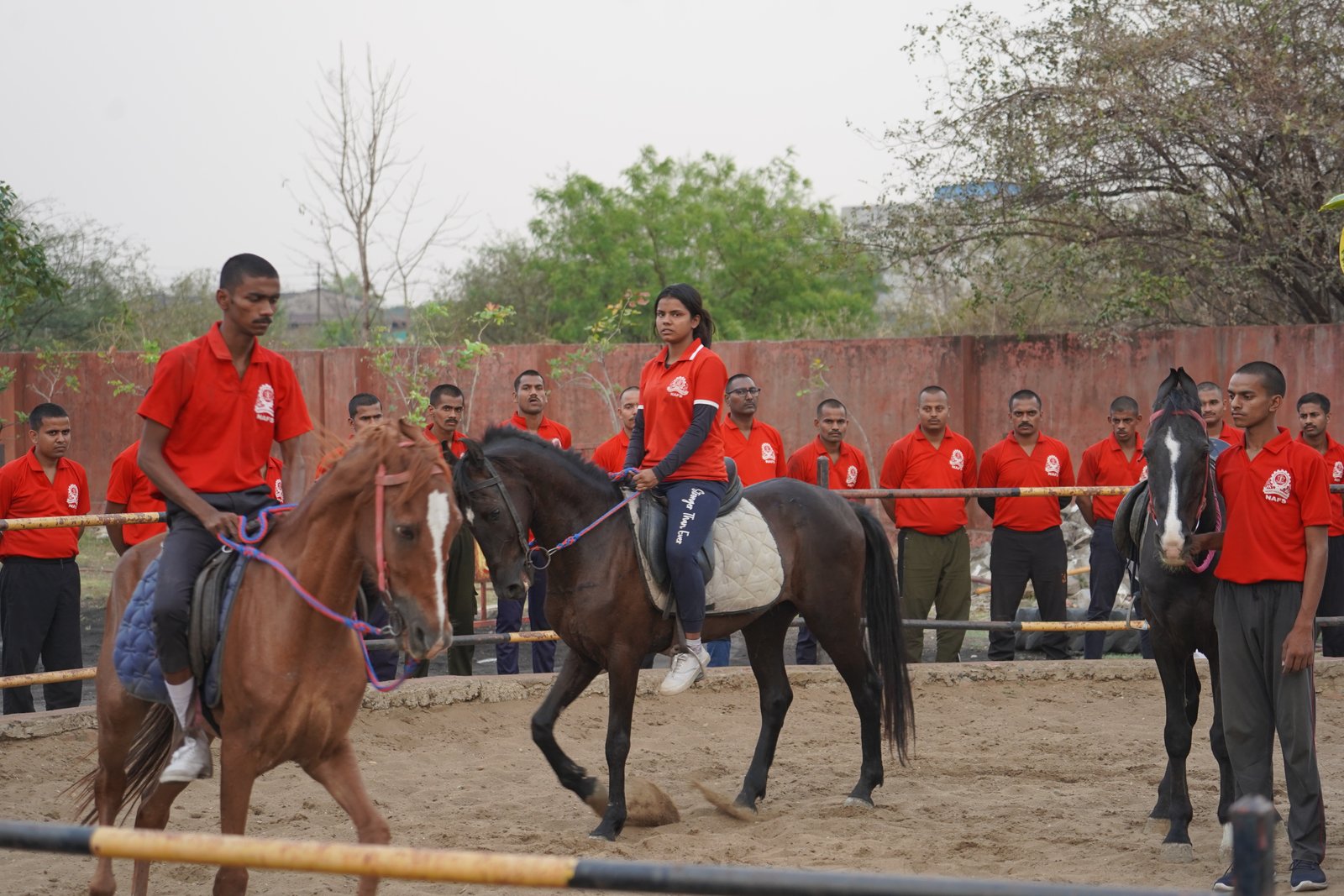 HORSE RIDING